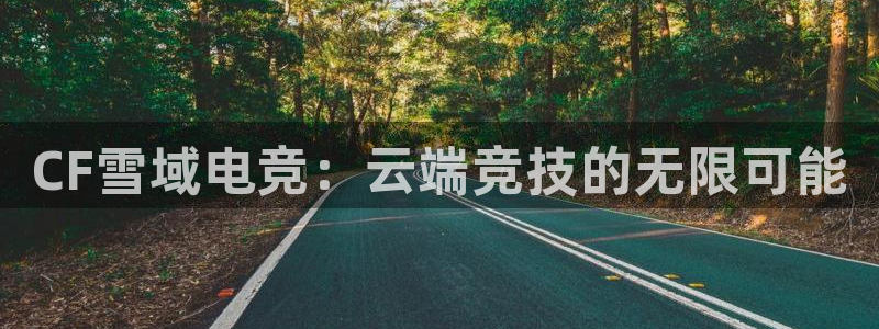 im电竞官方网站入口app下载：CF雪域电竞：云端竞技的无限可能