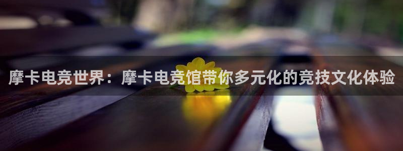 泛亚电竞和im电竞的区别：摩卡电竞世界：摩卡电竞馆带你多元化的竞技文化体验