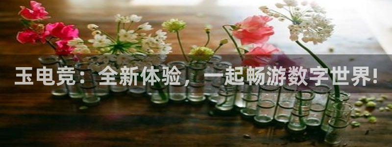 im电竞官网注册：玉电竞：全新体验，一起畅游数字世界!