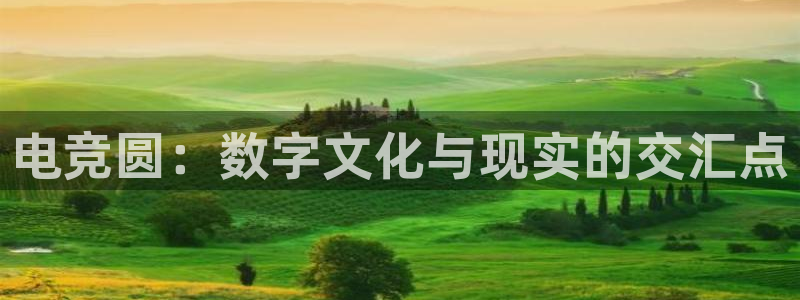 在im电竞上投注违法吗：电竞圆：数字文化与现实的交汇点