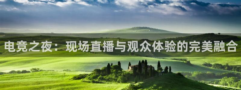im电竞手机版：电竞之夜：现场直播与观众体验的完美融合