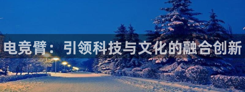 im电竞中国官网入口：电竞臂：引领科技与文化的融合创新