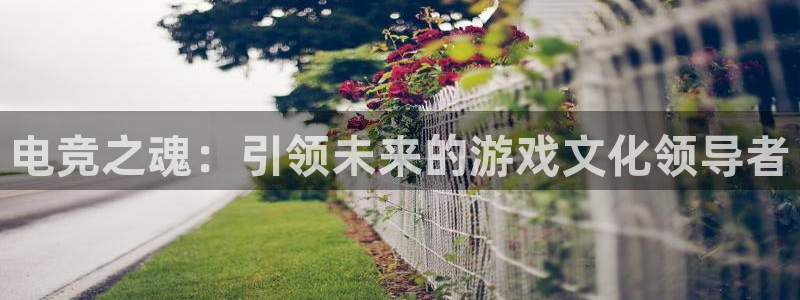 im电竞平台下载：电竞之魂：引领未来的游戏文化领导者