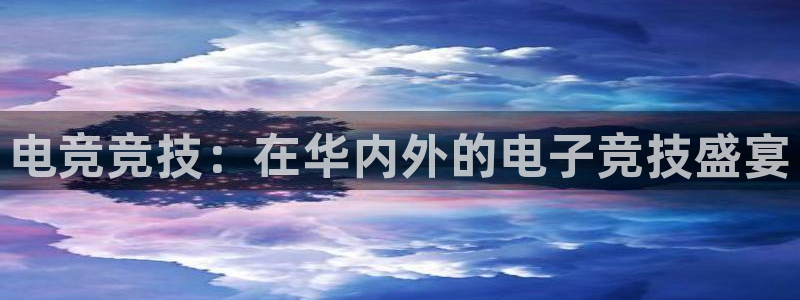 im电竞官网最新下载：电竞竞技：在华内外的电子竞技盛宴