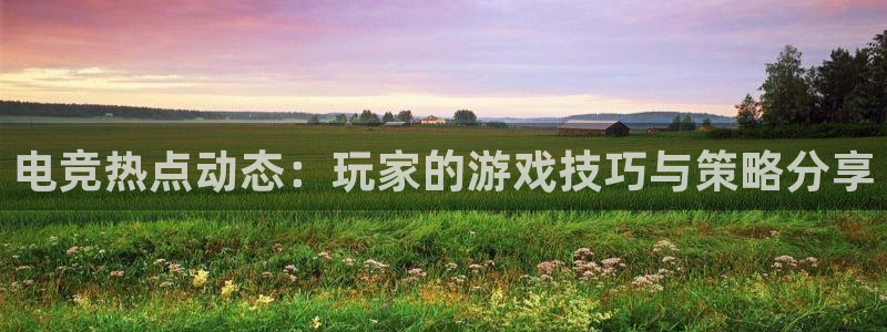 im电竞手机版：电竞热点动态：玩家的游戏技巧与策略分享