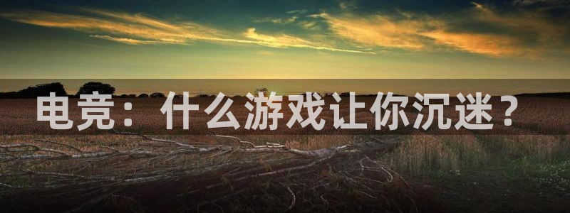 im电竞中国官网入口：电竞：什么游戏让你沉迷？