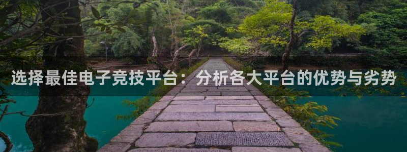 im电竞看ly79典cn：选择最佳电子竞技平台：分析各大平台的优势与劣势